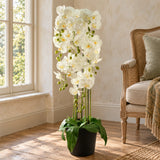 110cm Large White Orchid Plant - Artificial - 41 REAL TOUCH flowers