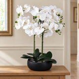 60cm Orchid Artificial White - Black Ceramic Planter