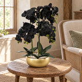 60cm Orchid Artificial Black - Gold Ceramic Planter