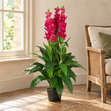 100cm Artificial Cymbidium Orchid Plant - Extra Large