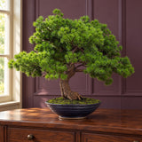 50cm Artificial Luxury Pine Bonsai Tree