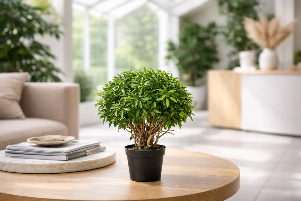 Buying Artificial Plants in Bulk: A Trade Guide