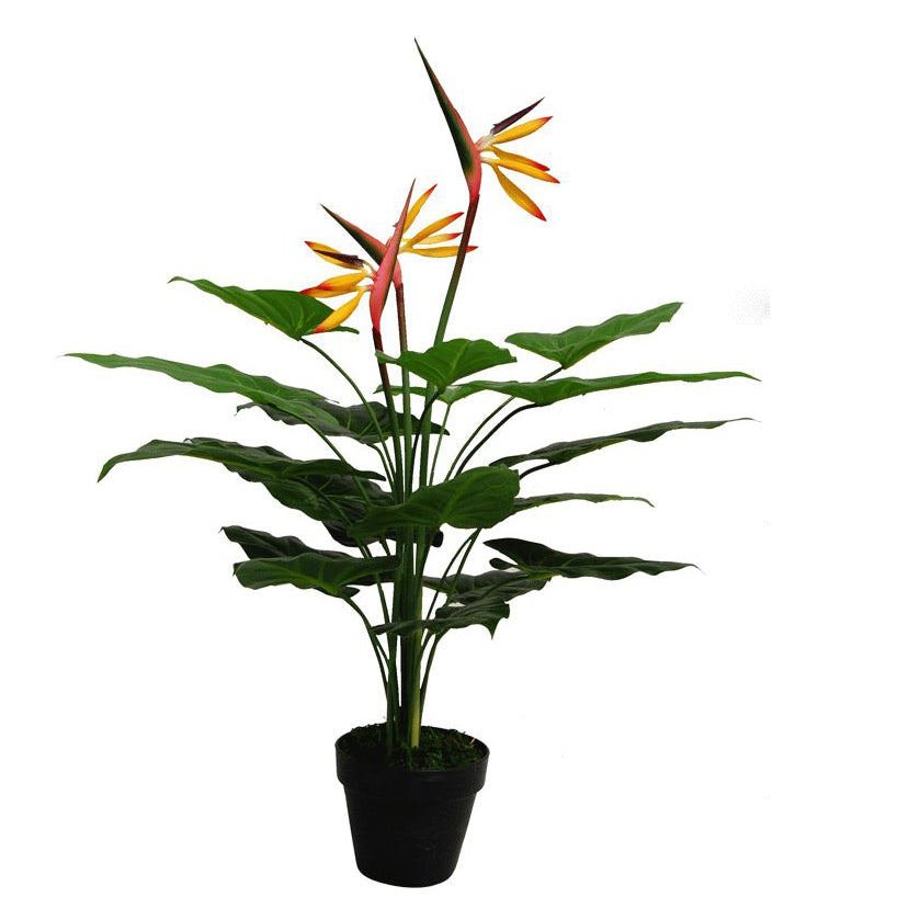 Artificial Bird of Paradise Plants collection at Leaf