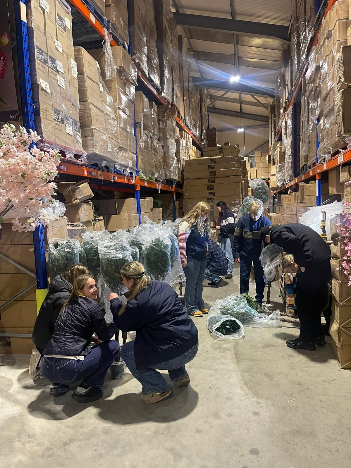 Louth Young Farmers volunteering at the Leaf warehouse – unwrapping bay trees