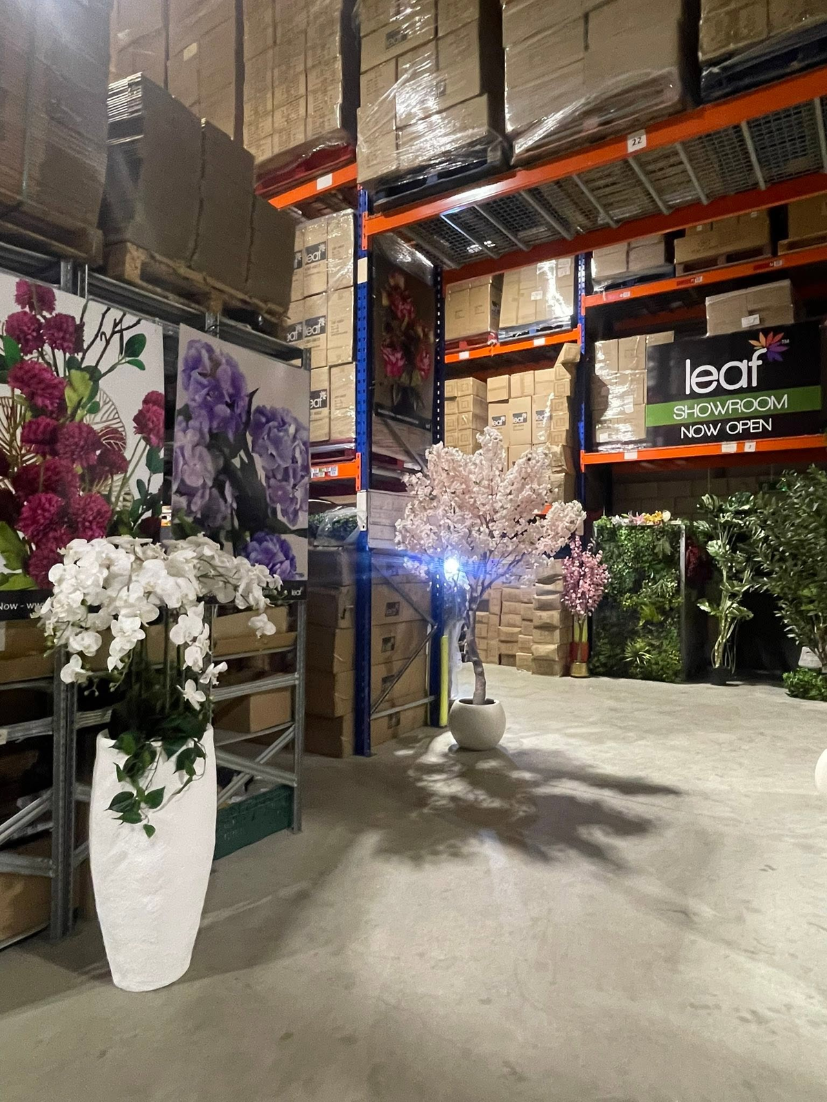 Louth Young Farmers volunteering at the Leaf warehouse – showroom orchids blossom
