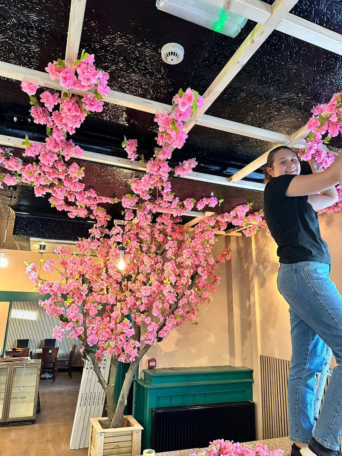 Kyoto Restaurant Louth cherry blossom installation – kyoto team dressing the ceiling