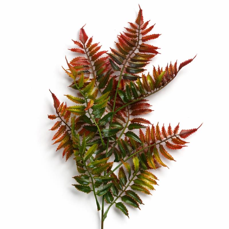 50cm Artificial Fern Spray Stem - Autumn Orange – image 6