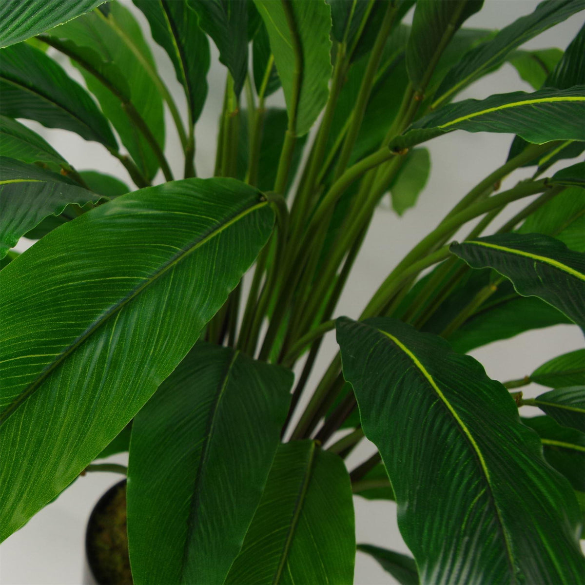 90cm Artificial Calathea Evergreen Plant – image 3