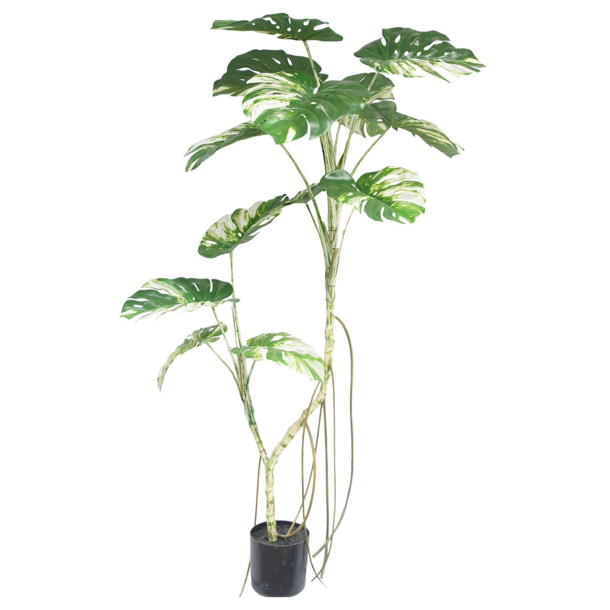 180cm Variegated Monstera Realistic Artificial Tree – image 2