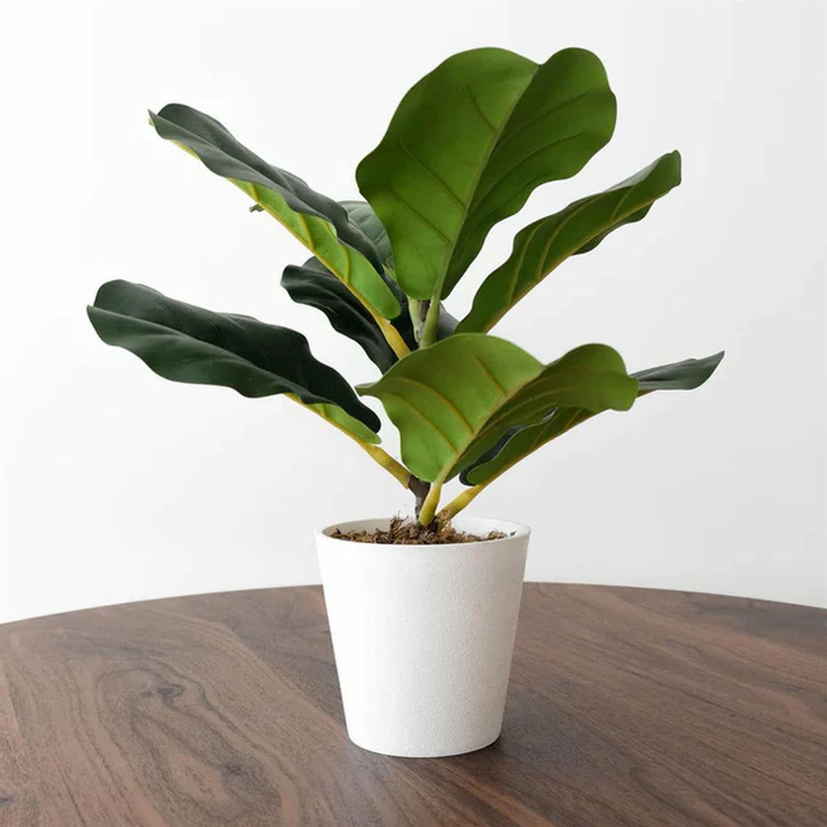 38cm Potted Artificial Fiddle Fig Plant – image 3