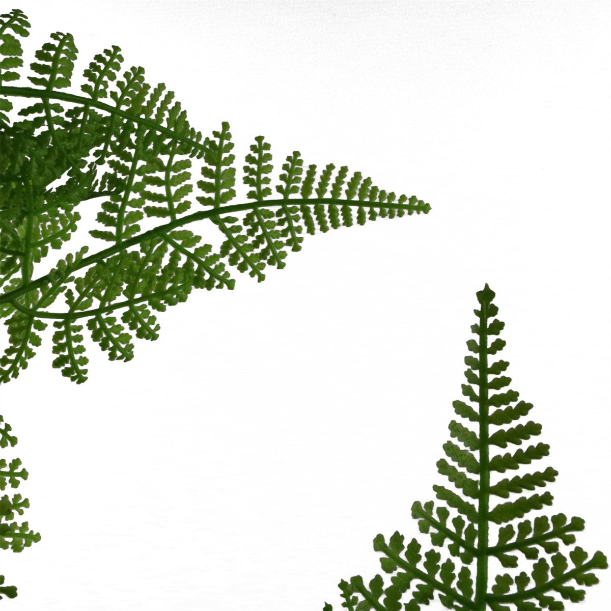 60cm Artificial Natural Moss Base Fern Foliage Plant – image 5