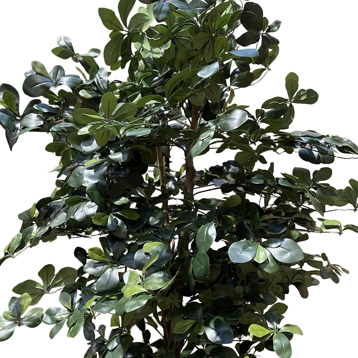 180cm Artificial Fire Retardant Black Olive Tree with 2925 Leaves and Natural Trunk – image 4