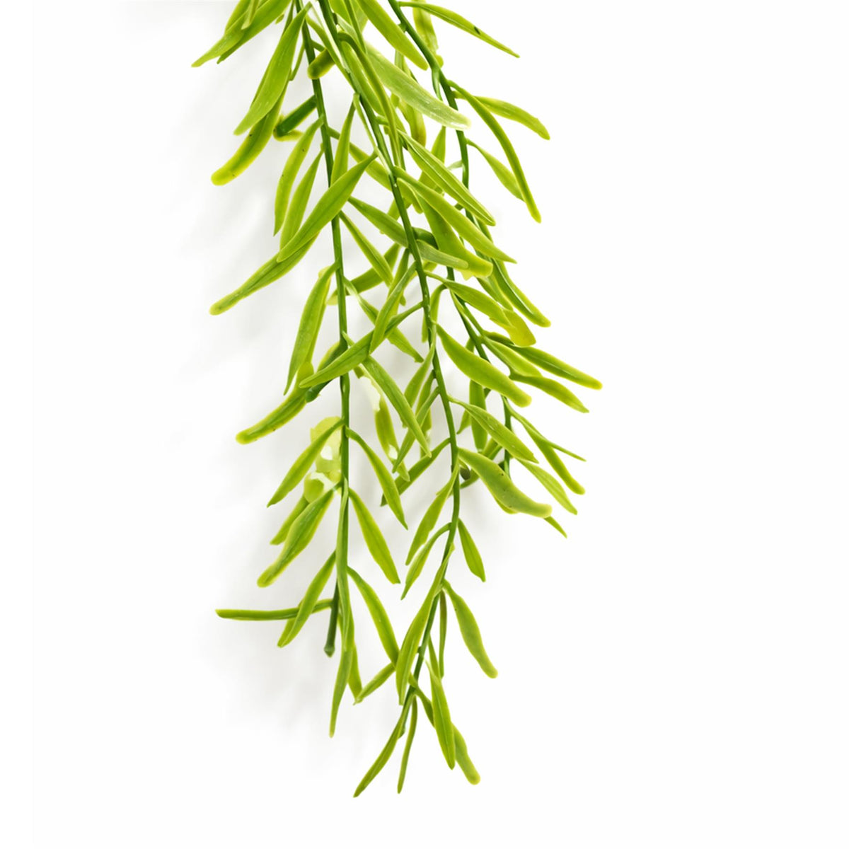 100cm Artificial Trailing Rhipsalis Style Hanging Plant - Light Green Tips – image 3