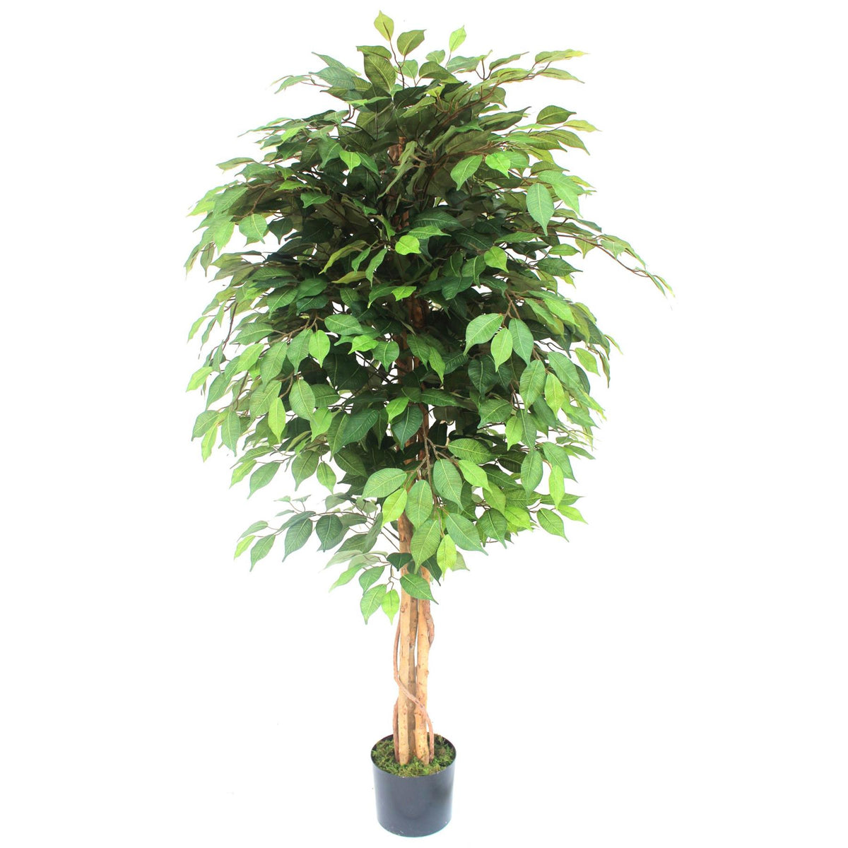 150cm Artificial Ficus Tree – image 2