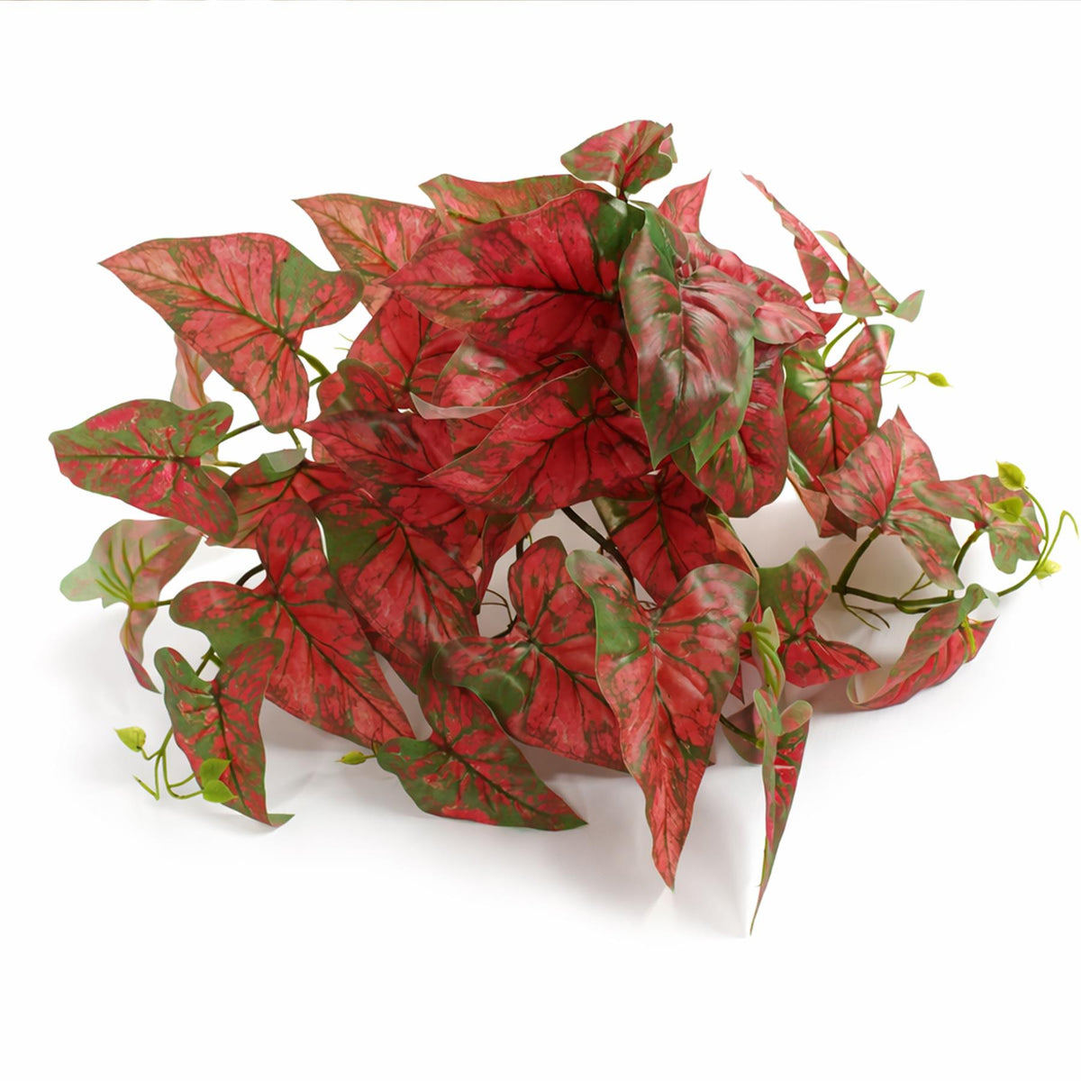 30cm Artificial Trailing Red Caladium