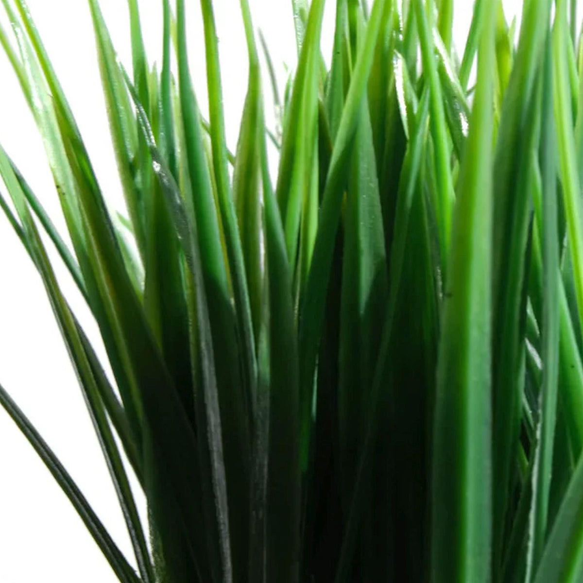 22cm Artificial Grass Plant Potted Mini Display – image 6