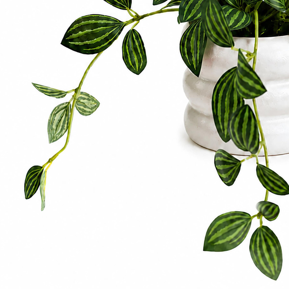 45cm Artificial Trailing Striped Leaf Plant with Flowers in White Pot