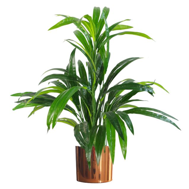 65cm Artificial Large Leaf Bamboo Shrub Plant – image 8