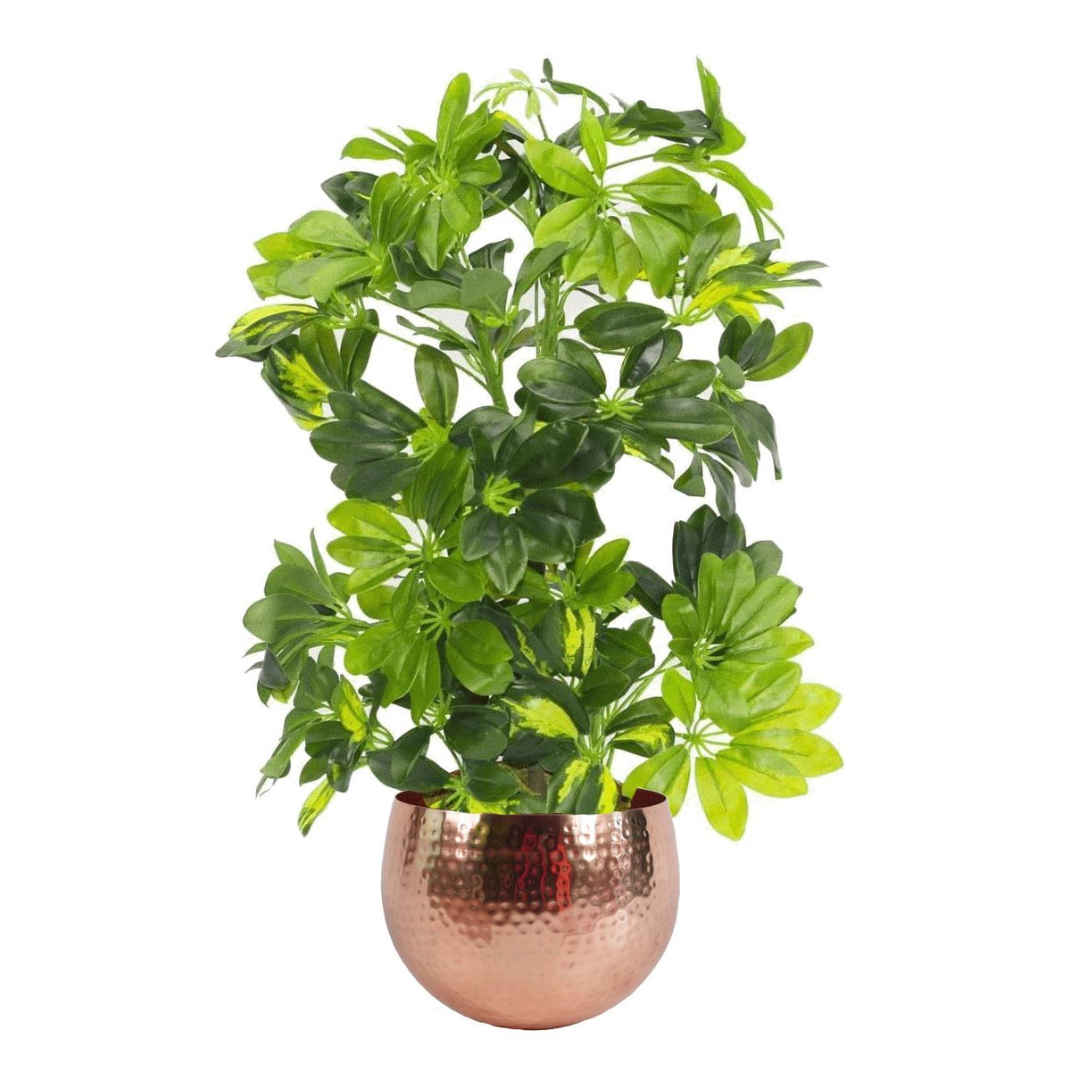 75cm Artificial Arboricola Gold Capella Plant – image 5