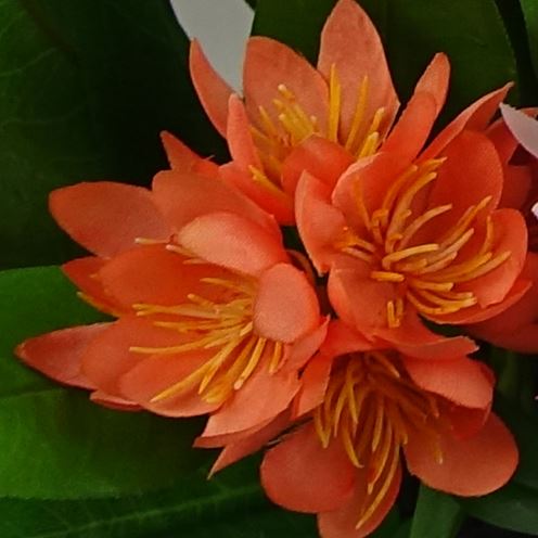 18cm Artificial Freesia Flowering Plant – image 15