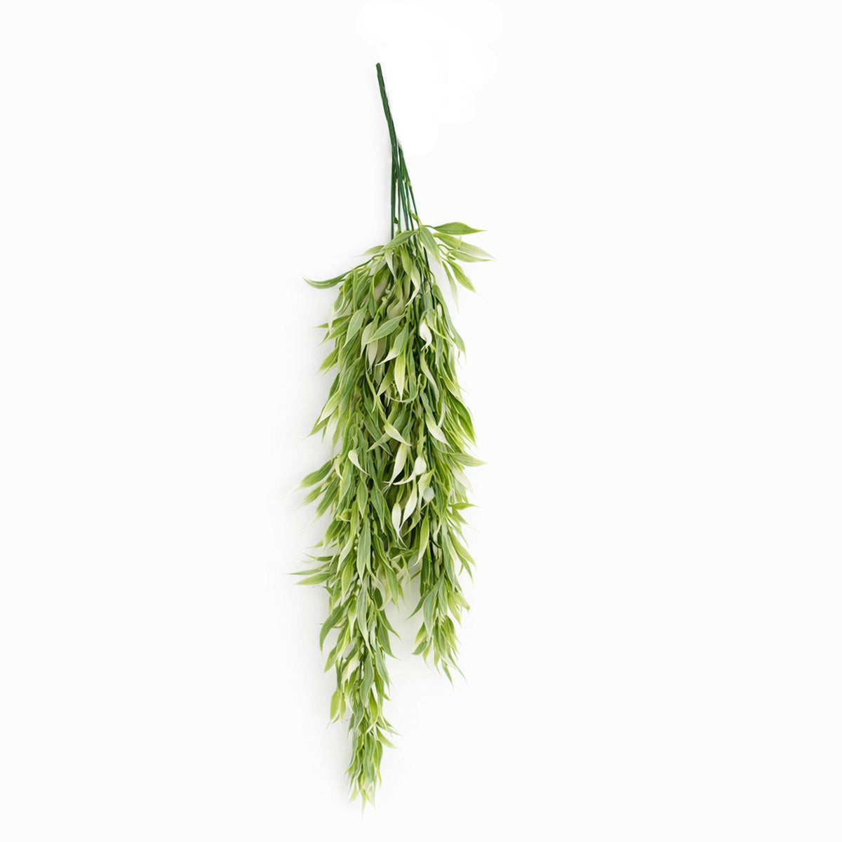 80cm Artificial Italian Ruscus Hanging Plant with Realistic Foliage - Light Green – image 5