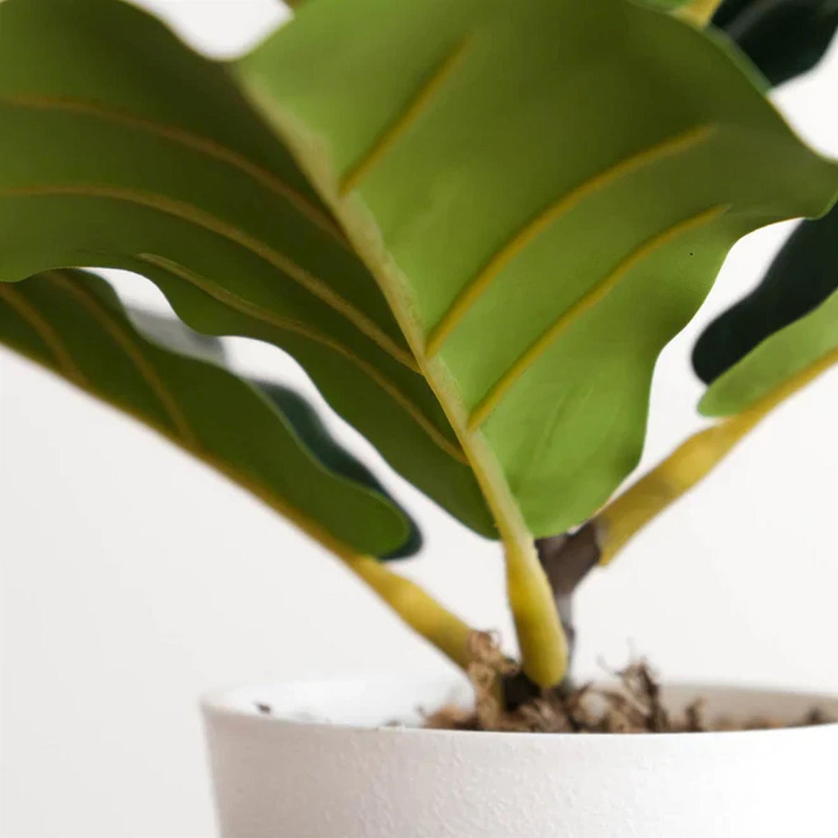 38cm Potted Artificial Fiddle Fig Plant – image 7