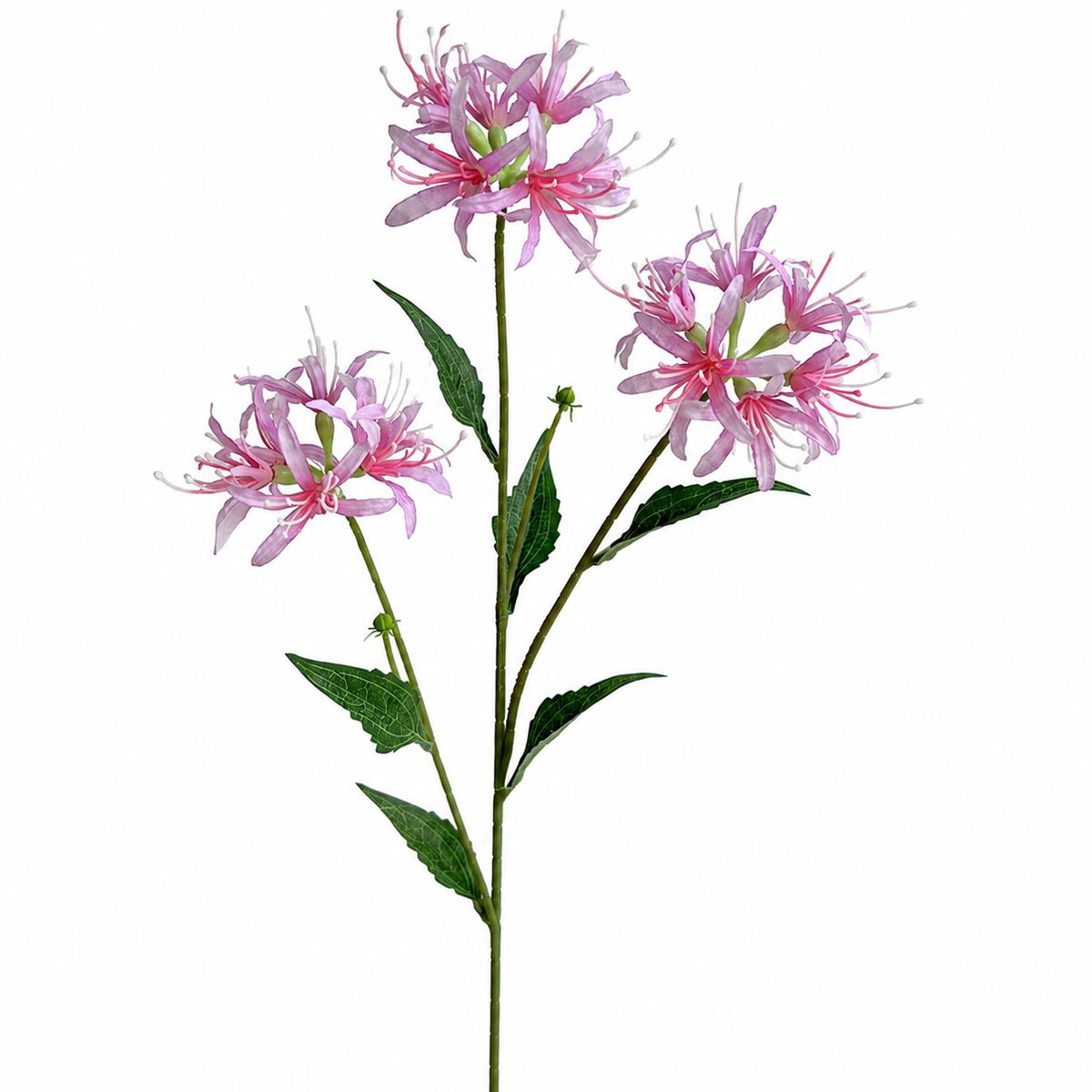 72cm Artificial Spider Lily Flower Stem