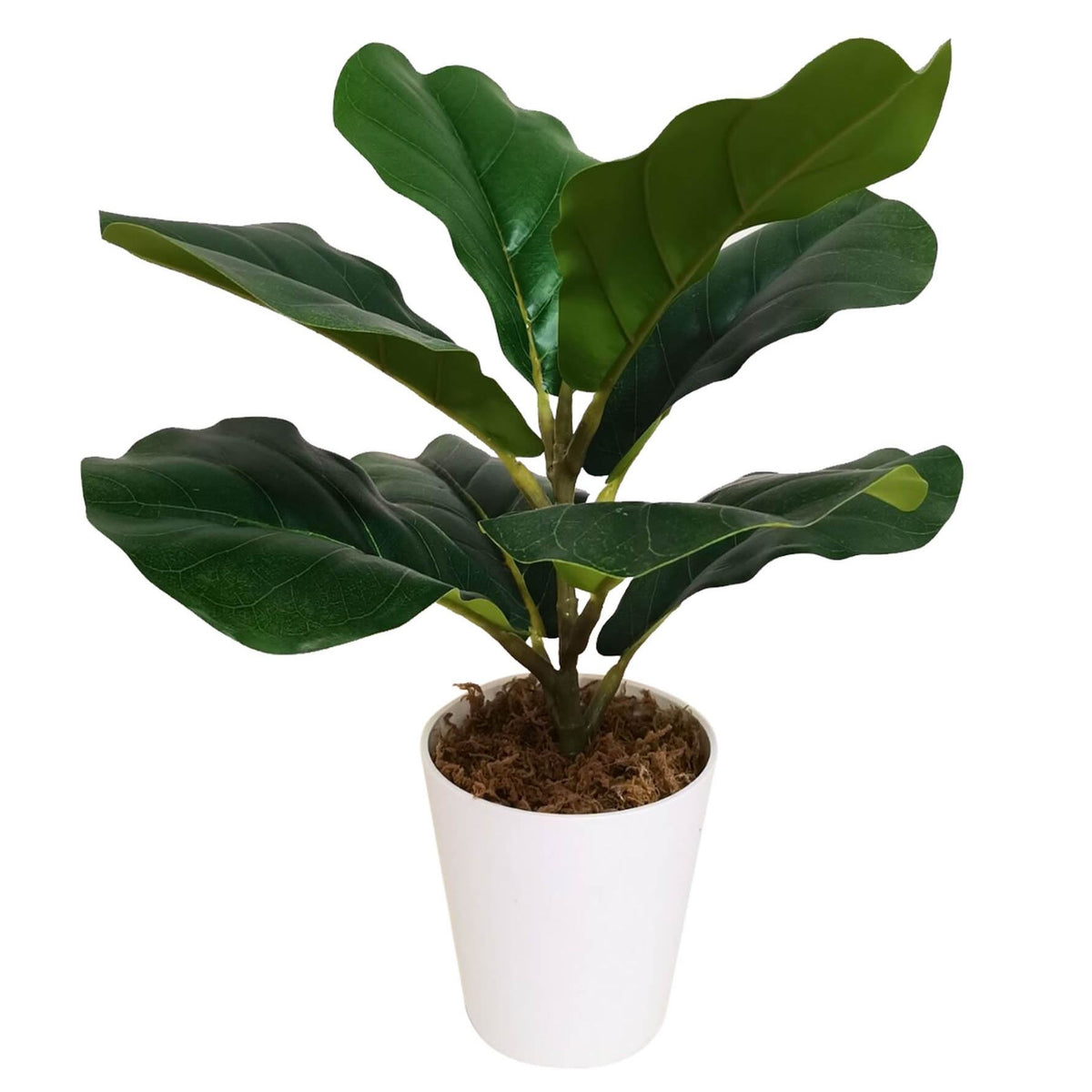 38cm Potted Artificial Fiddle Fig Plant – image 5