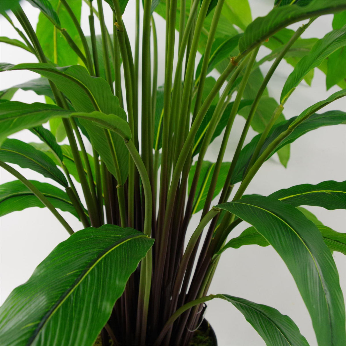90cm Artificial Calathea Evergreen Plant – image 5