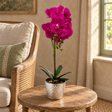 50cm Phalaenopsis Orchid Artificial - Dark Pink Silver