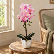 50cm Phalaenopsis Orchid Artificial - Light Pink Silver