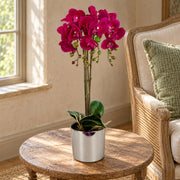 52cm Artificial Orchid Large - Dark Pink / Silver