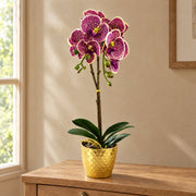 50cm Phalaenopsis Orchid Artificial - Purple Leopard - Gold Pot