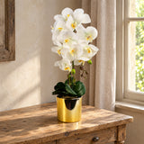 52cm Artificial Orchid Large - White / Gold