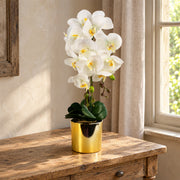52cm Artificial Orchid Large - White / Gold