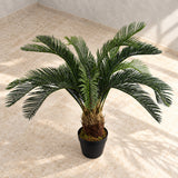 Artificial Tropical Cycas Palm Plant
