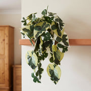 40cm Artificial Trailing Variegated Marble Pothos Plant