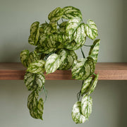 35cm Artificial Trailing Light Green Plant