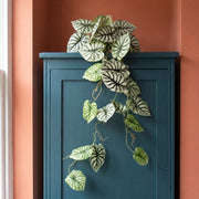 120cm Artificial Hanging Trailing Plant Alocasia Dragon Scale
