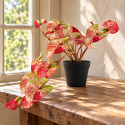 35cm Artificial Hanging Trailing Plant Pink Splash Caladium