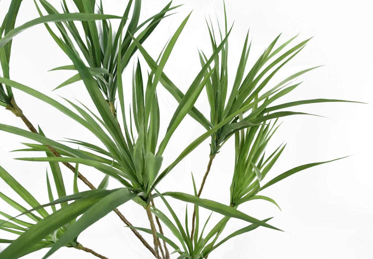 125cm Dragon Tree Dracaena Plant Natural Look Artificial – image 4