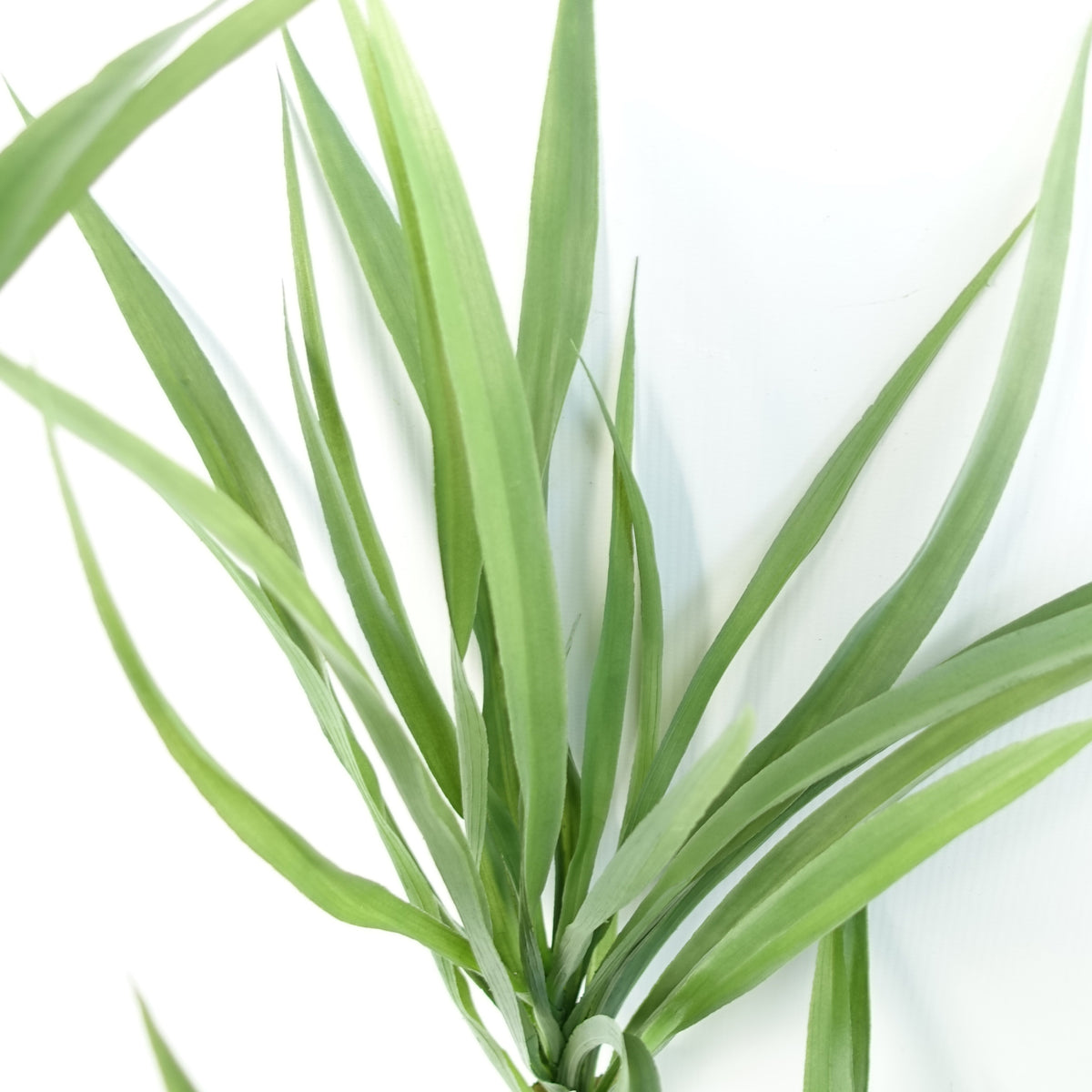 125cm Dragon Tree Dracaena Plant Natural Look Artificial – image 6