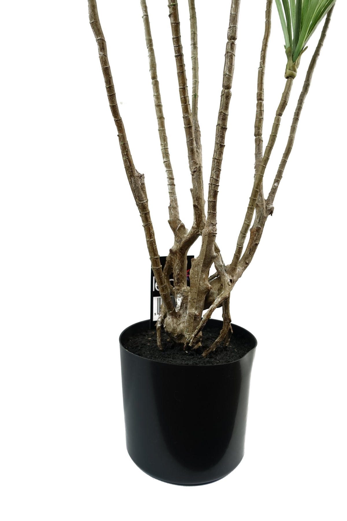 125cm Dragon Tree Dracaena Plant Natural Look Artificial – image 7
