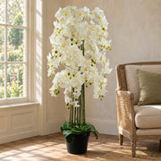 150cm Giant White Orchid Plant - Artificial - 189 flowers REAL TOUCH