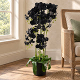 110cm Large Black Orchid Plant - Artificial - 41 REAL TOUCH flowers