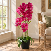 110cm Large Pink Orchid Plant - Artificial - 41 REAL TOUCH flowers