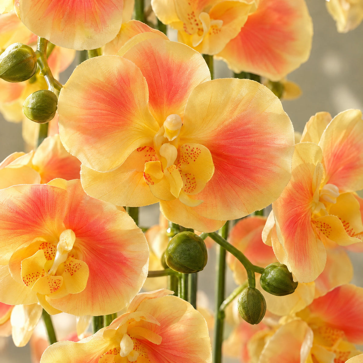 110cm Artificial Yellow Peach Orchid - 41 Real Touch Flowers