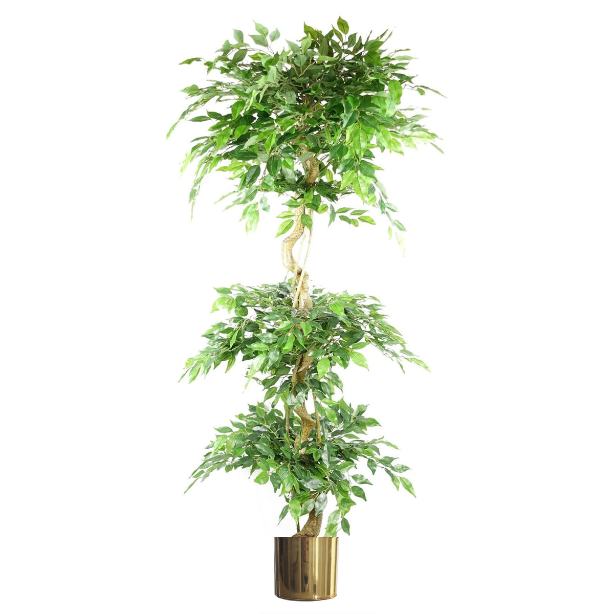 180cm Artificial Twisted Trunk Fruticosa Ficus Tree Triple Ball Topiary 1984 Leaves – image 3