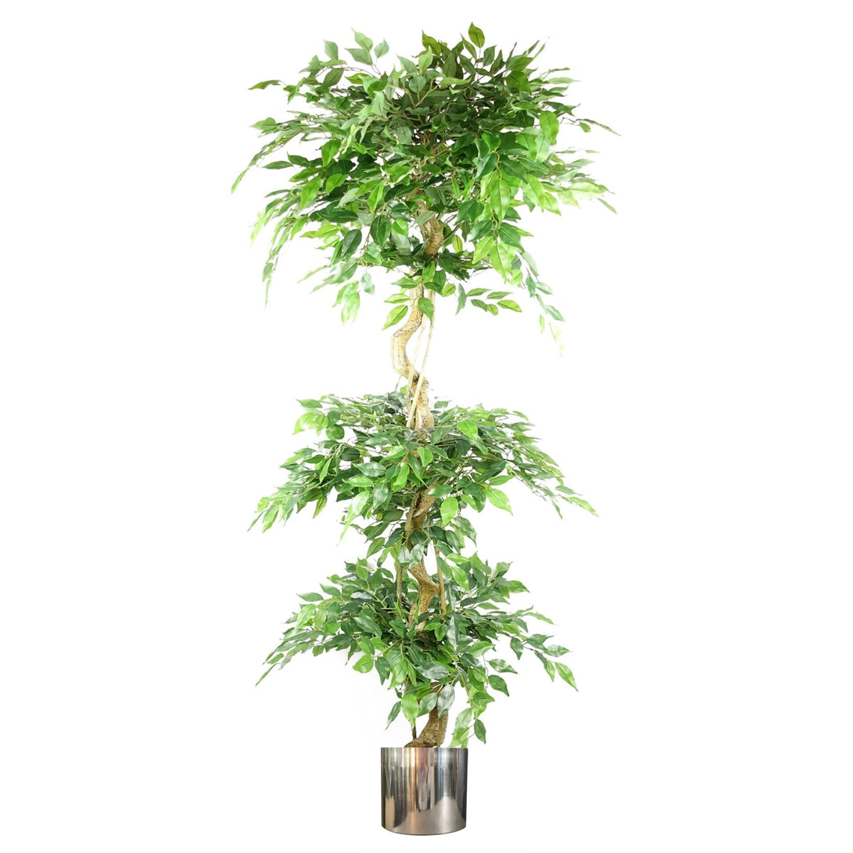 180cm Artificial Twisted Trunk Fruticosa Ficus Tree Triple Ball Topiary 1984 Leaves – image 5