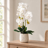 60cm Pure White Artificial Orchid with Ceramic Bubble Planter